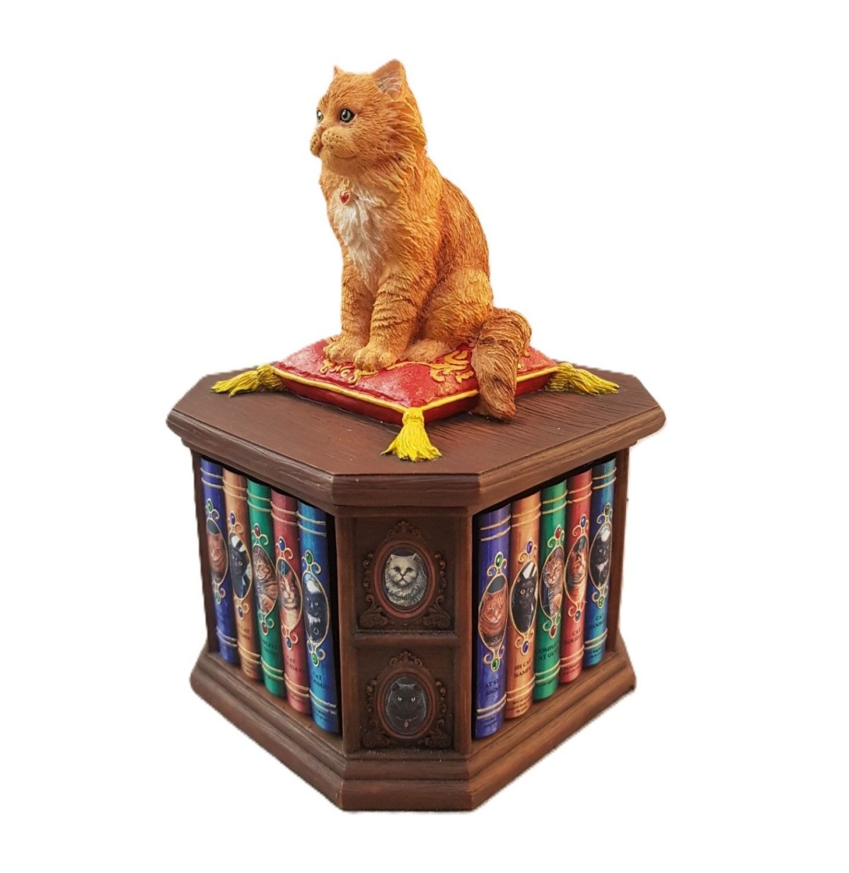 Bilgin Kedi Biblo/Kutu